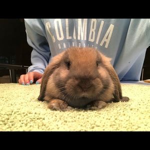 Meet your Posher, Bethany